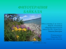 Фитотерапия Байкала