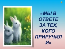 Презентация для кл.часа Мы в ответе за тех, кого приручили