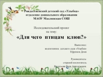 Презентация для чего птицам клюв?