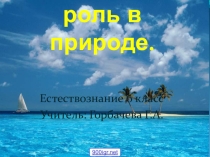 Презентация по естествознаниюВода в природе
