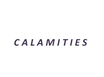 Prezentasiya po anqliyskomu yaziku Calamities