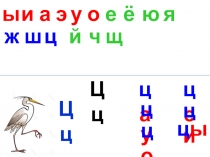 Презентация по обучению грамоте на тему Буквы Цц (1 класс)