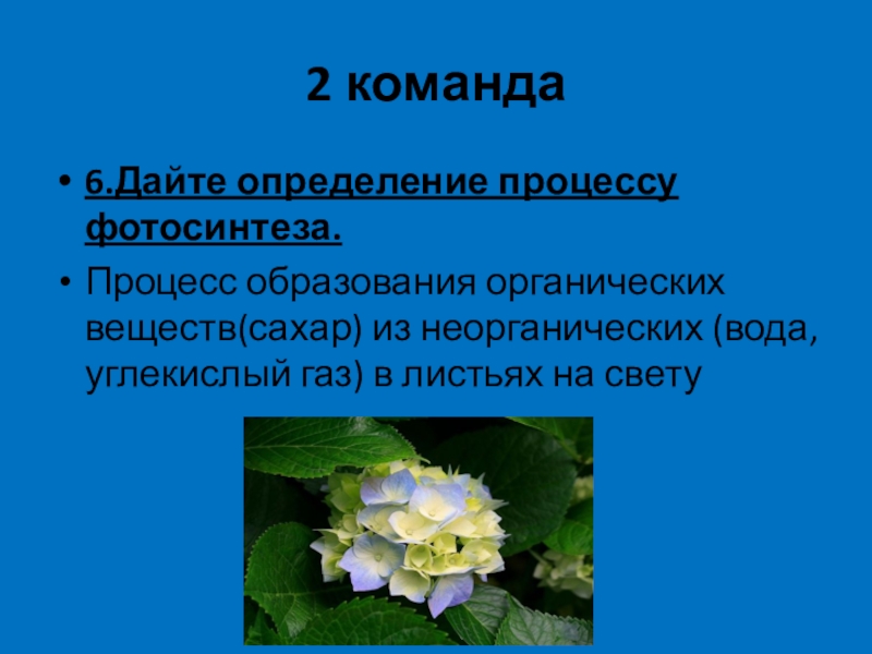 Дайте определение процесса. Дать определение цветок. Синквейн по биологии на тему фотосинтез. Синквейн по теме фотосинтез 6 класс. Процесс образования органических веществ из неорганических.