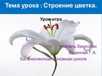Презентация цветок 6 класс