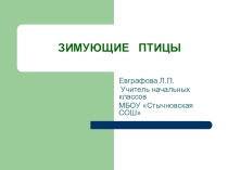 Презентация по окружающему миру Зимующие птицы