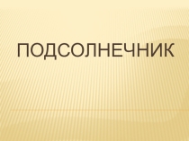 Презентация по биологии Солнечный цветок