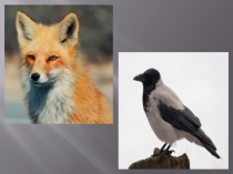 Презентация по литературному чтению И.А.Крылов. Басня  Ворона и Лисица