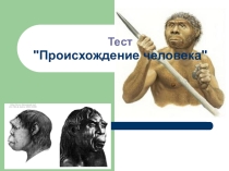Разработка электронного теста по теме Происхождение человека