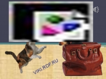 Презентация проекта по окружающему миру: Бездомные животные (1-4 классы)