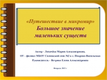 Презентация - работа на конкурс Микромир по биологии (6 класс)