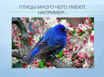 ПРЕЗЕНТАЦИЯ НА ТЕМУ ПТИЦЫ в первой младшей группе