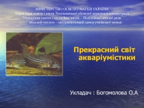 .Презентація на тему: Прекрасний світ акваріумістики