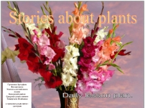 Урок - презентация по английскому языку Stories about plants, grade 7