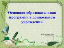 Презентация ООПрограмма в дошкольном учреждении