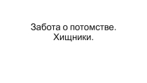 Презентация к уроку биологии Отряд Хищники