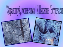 Презентация по литературному чтению встреча зимы 2 класс