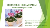 Презентация Знакомые незнакомцы: комнатные растения.