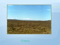 Презентация по окружающему миру Степь.