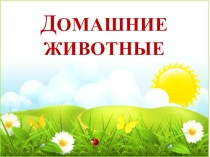 Презентация для занятия по ознакомлению с окружающим. Тема Домашние животные. Лошадь.