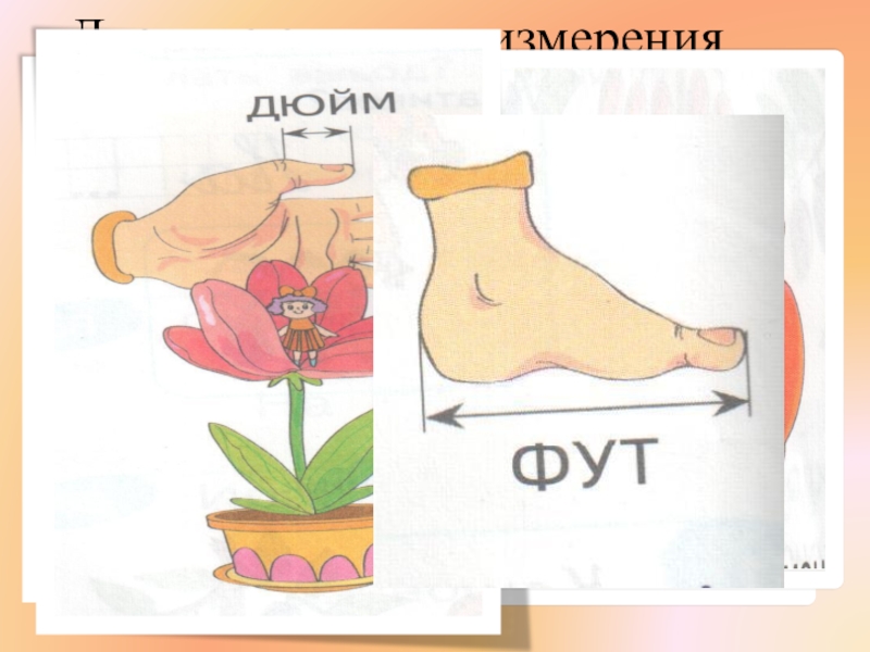 Презентация к уроку математики Сантиметр - мера длины 1 класс УМК Школа России Древние единицы измерения Древние единицы измерения