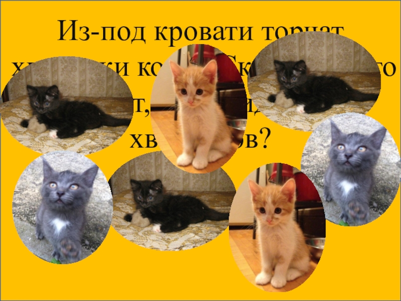Презентация к уроку математики Сантиметр - мера длины 1 класс УМК Школа России В цирковом представлении принимали участие медведь, тигр и обезьяна. В каком В цирковом представлении принимали участие медведь, тигр и обезьяна. В каком порядке они выходили на арену, если