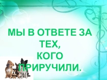 Презентация к классному часу по теме Мы в ответе за тех кого приручили