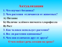 Презентация по биологии Разнообразие растений, 5 класс