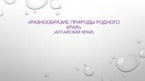 Презентация Разнообразие природы родного края