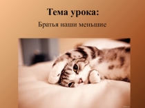 Презентация по изобразительному искусству на тему Рисование животных(2 класс)