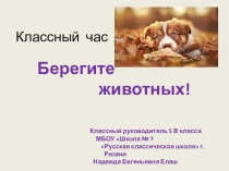 Презентация к классному часу Берегите животных.