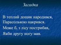 Презентація з природознавства на тему Гриби