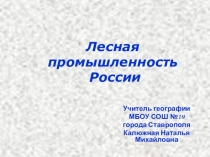 Презентация к урокуЛесная промышленность России