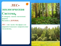 Презентация к классному часу про лес