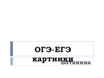 Обзорная презентация к курсу Ботаника для завешающей подготовки к ЕГЭ и ОГЭ