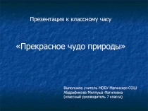 Презентация к классному часу Первоцвет