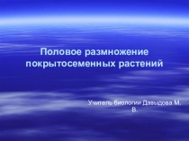 Половое размножение покрытосеменных растений
