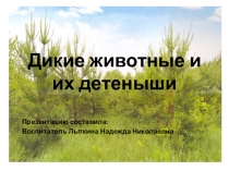 Дикие животные и их детёныши младшая группа