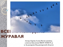 Презентация по экологии на тему Всемирный День журавля