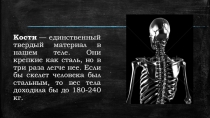 Презентация по биологии на тему Скелет человека (8 класс)