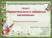 Презентация Насекомые (младшая группа)