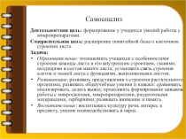 Самоанализ к уроку Клеточное строение листа