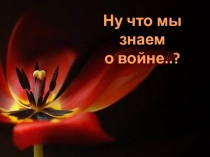 Презентация к классному часу в 11 классе Ну что мы знаем о войне?