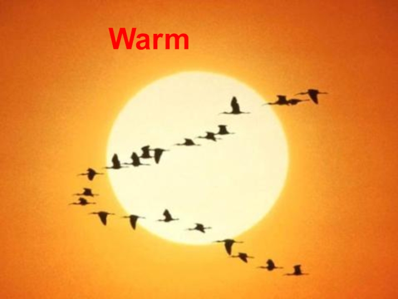 Презентация по английскому языку в 3 классе на тему Season and weather Warm Warm