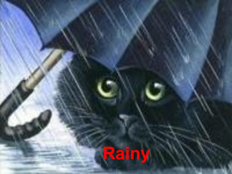 Презентация по английскому языку в 3 классе на тему Season and weather Rainy Rainy
