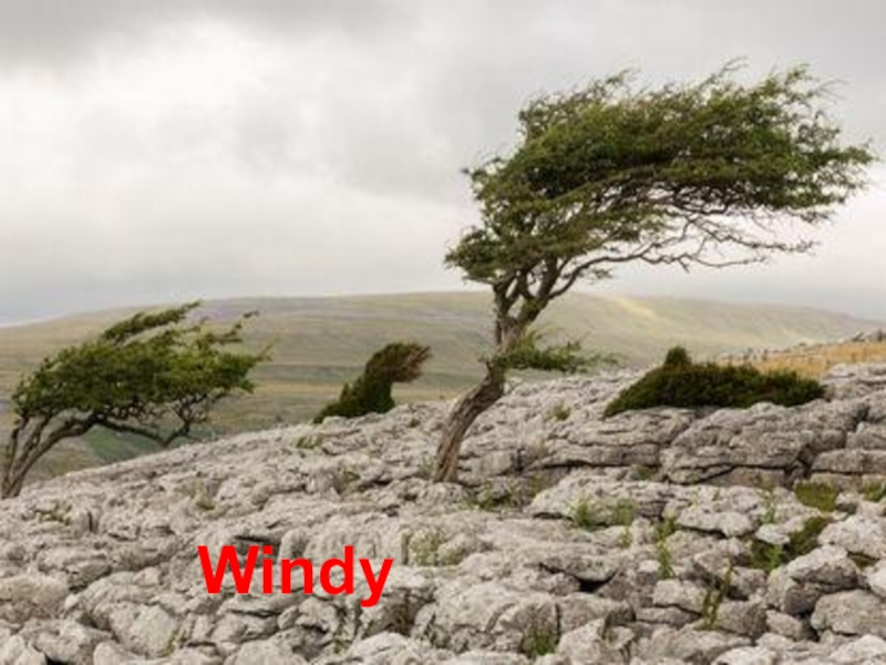 Презентация по английскому языку в 3 классе на тему Season and weather Windy Windy