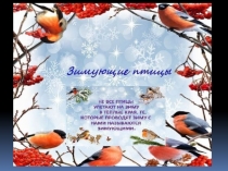 Презентация для дошкольников Зимующие птицы