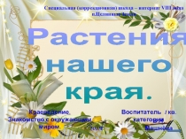 Презентация Растения нашего края. Краеведение. Знакомство с окружающим миром.
