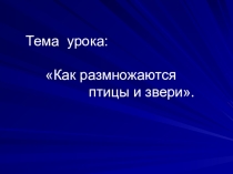 Презентация по окружающему миру Размножение птиц и зверей (3 класс)