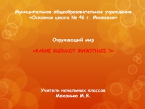 Презентация по окружающему миру Какие бывают животные? (2 класс)