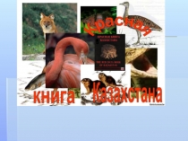 Красная книга Казахстана